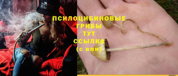 ешки Алзамай