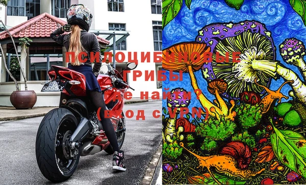 мескалин Алексин