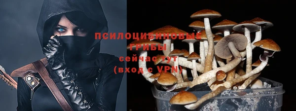 ешки Алзамай