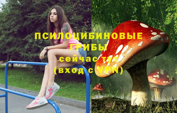 ешки Алзамай