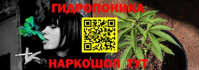 МДПВ Шали