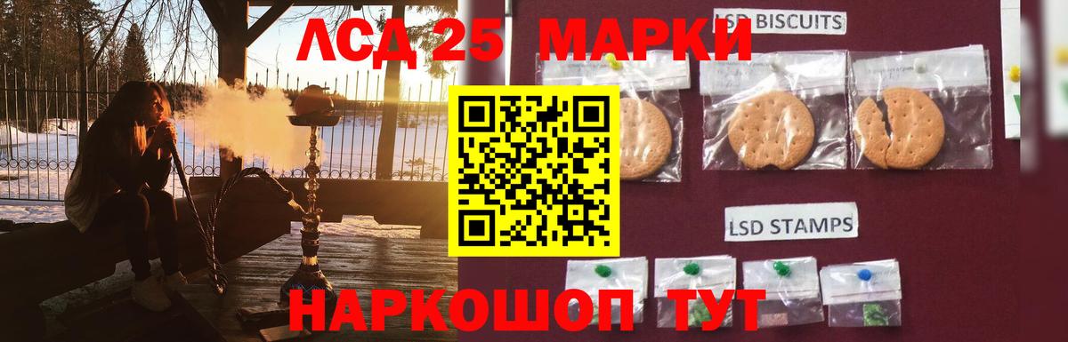Бердск  LSD-25 экстази кислота  Вход с VPN 