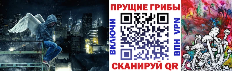 Псилоцибиновые грибы Cubensis  где продают   Бердск 