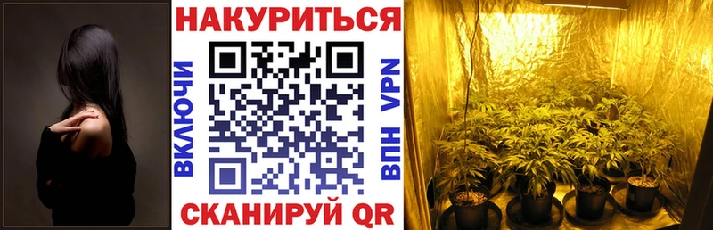купить наркотик  Бердск  Канабис Ganja 
